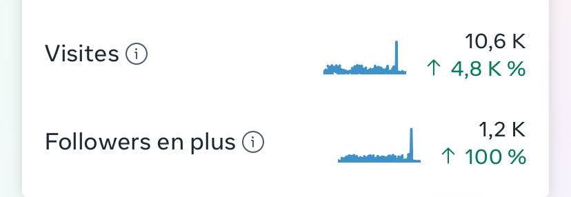 Cliquer pour agrandir Statistiques Instagram du compte : visites et abonnés gagnés sur la période