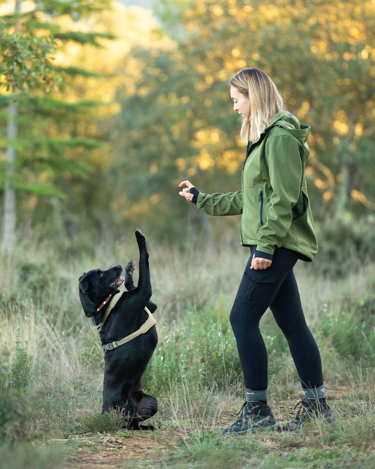 Cliquer pour agrandir Marine Goovaerts en séance d'éducation canine positive avec un chien, près d'Aix-en-Provence