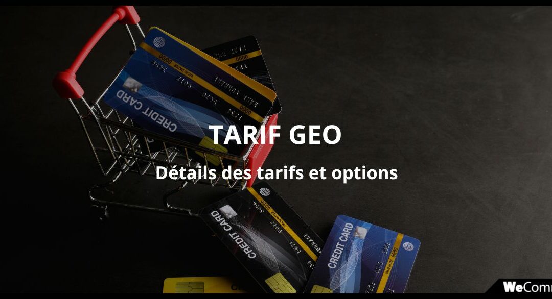 Tarifs GEO : ce que paient vraiment les entreprises françaises
