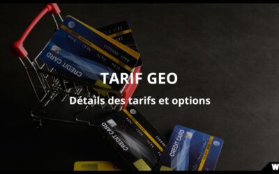 Tarif GEO : ce que paient vraiment les entreprises françaises en 2026