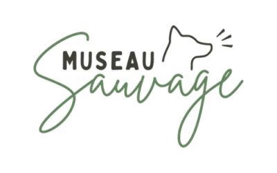 Museau Sauvage