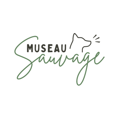 Museau Sauvage